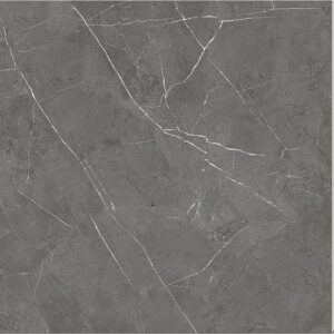 Gạch lát nền Hoàn Mỹ 80x80 34021