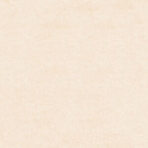 Gạch lát nền Prime 80x80 27702
