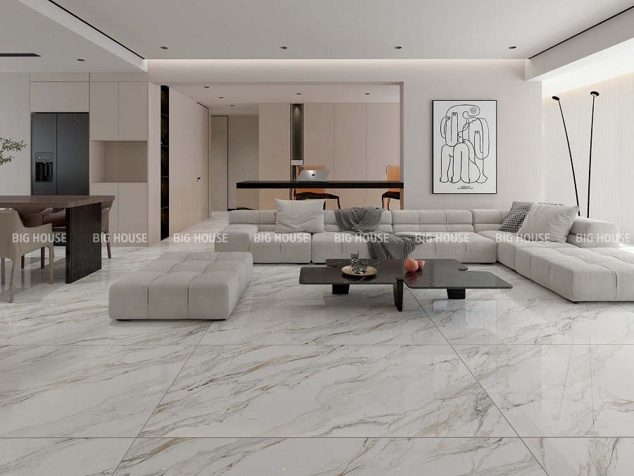 Mẫu gạch khổ lớn Tasa 9602 80x160
