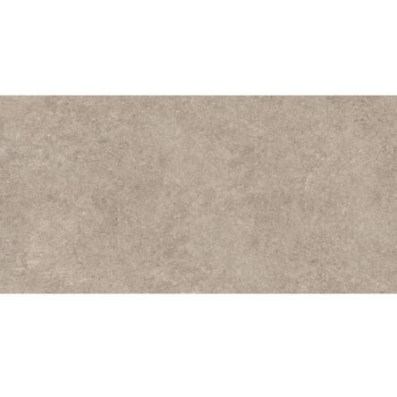Gạch Prime 60x120 27402