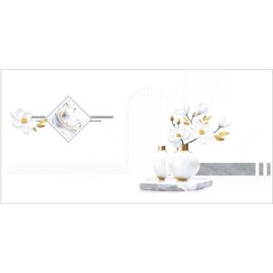 Gạch ốp tường Prime 40x80 38008