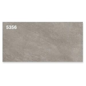 Gạch ốp tường Tasa 30x60 5356