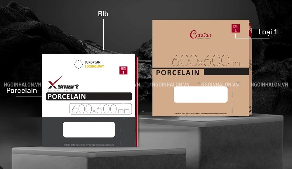 Gạch Catalan loại 1 được yêu thích bởi nhiều dòng chất liệu, kiểu dáng khác nhau