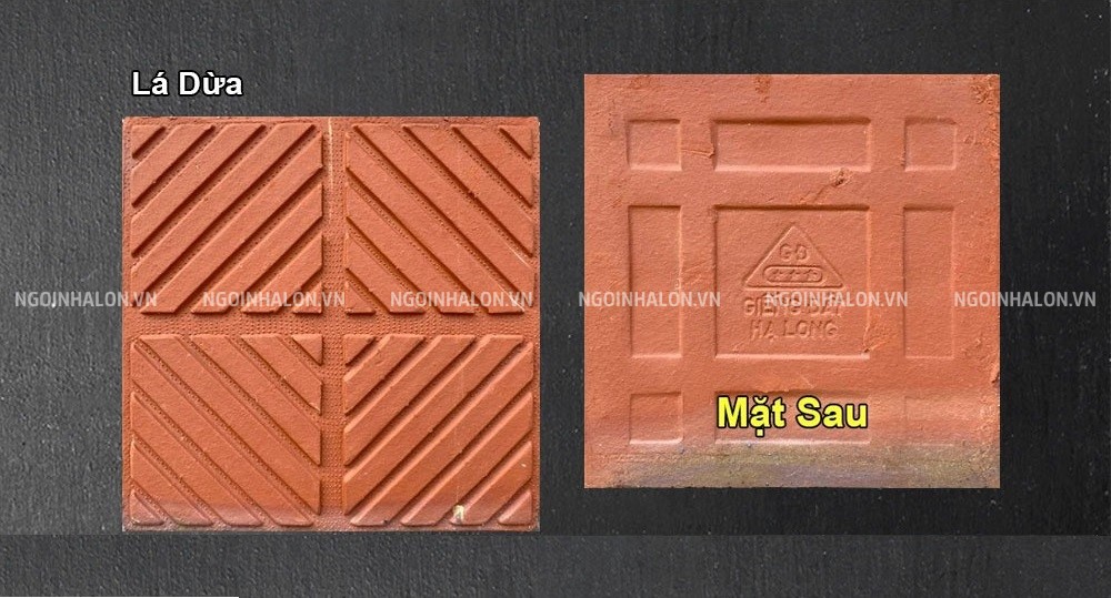 Hình ảnh thực tế viên gạch lá dừa Giếng Đáy 20x20.