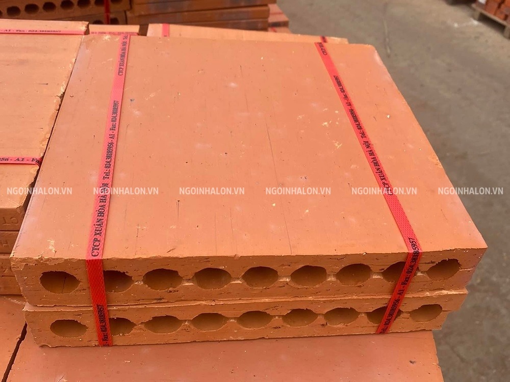 Mẫu gạch lá nem rỗng có các lỗ rỗng giữa giúp tản nhiệt tốt