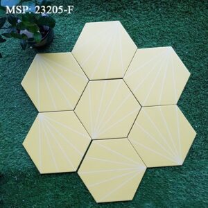 Gạch bông lục giác 200x230 23025-F