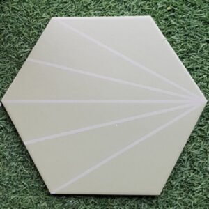 Gạch bông lục giác 200x230 23026-F