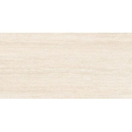 Gạch Taicera 60x120 G12303J