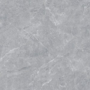 Gạch lát nền Prime 100x100 92009