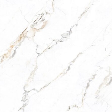 Gạch lát nền Prime 100x100 92501 - Thumbnail ảnh phụ