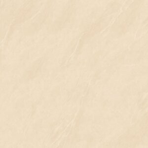 Gạch lát nền Prime 100x100 92504