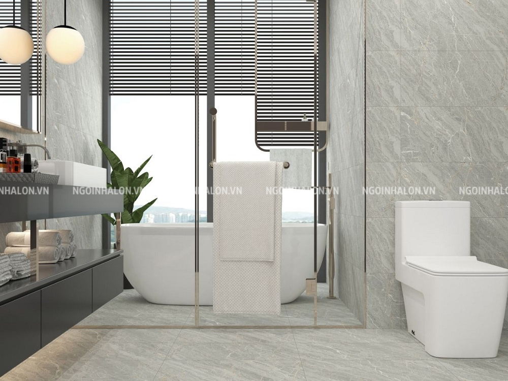 Mẫu gạch Đồng Tâm 3060HOANGLIENSON004 xương sứ