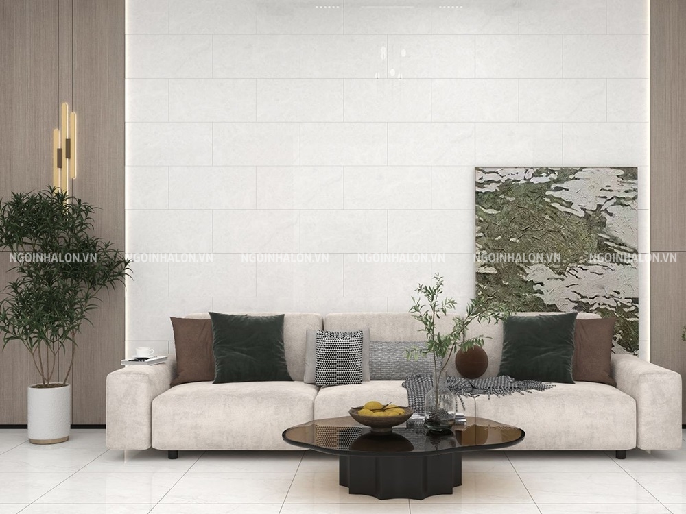 gạch màu trắng vân xám 40x80 Đồng Tâm 3060CLOUD001.