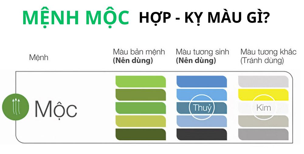 Các màu sắc hợp - kỵ cho mệnh Mộc