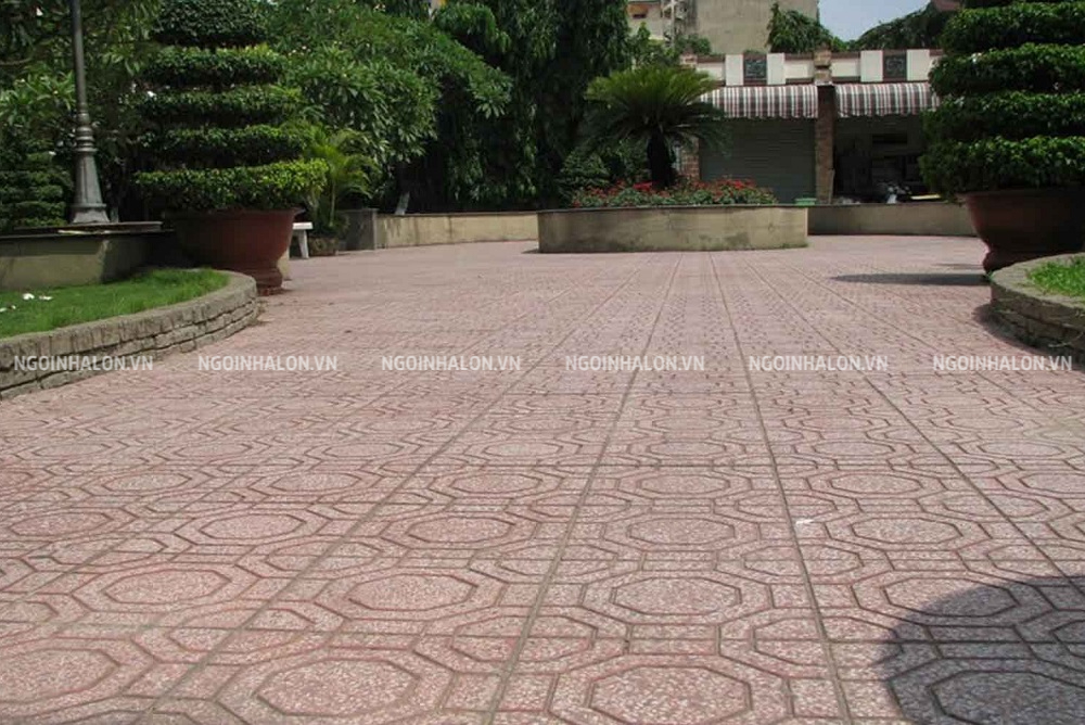 Gạch terrazzo họa tiết mai rùa lát sân trường