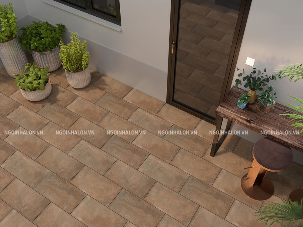 gạch lát sân vườn 30x60 Đồng Tâm 3060HOANGLIENSON001