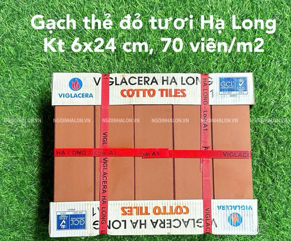 Gạch thẻ đỏ tươi 6x24 Viglacera Hạ Long